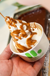Llaollao-Gallery-4